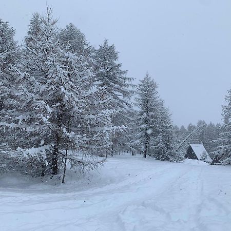 Chalet Bastilor ラ・ジュー・デュ・ルー エクステリア 写真